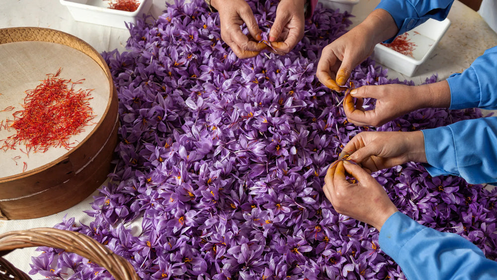 Why is Saffron So Expensive?