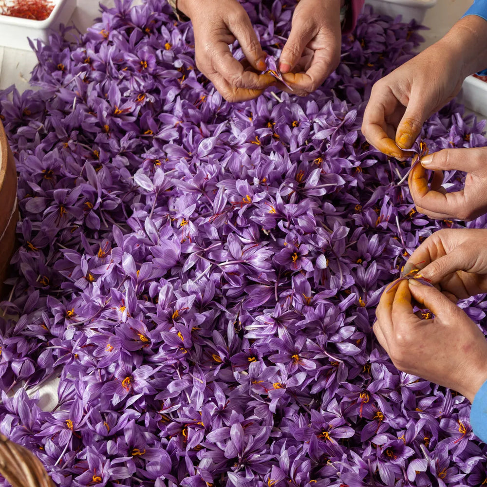 Why is Saffron So Expensive?